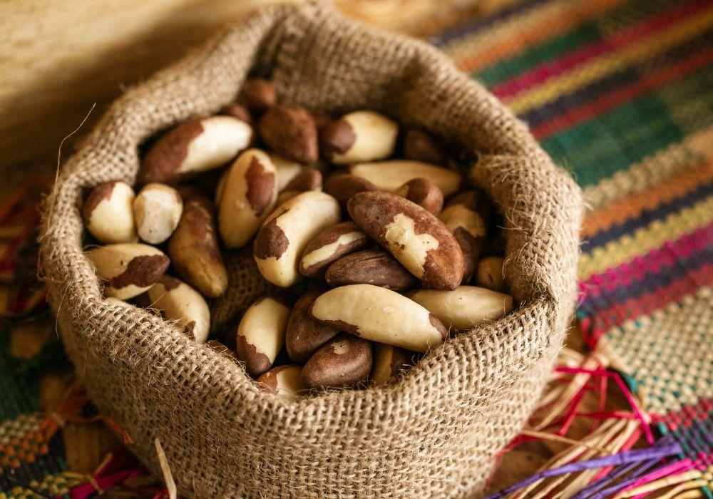 Raw Brazil Nuts Nutrition Facts - Nutritional Benefits of Brazil Nuts Rich in Selenium 