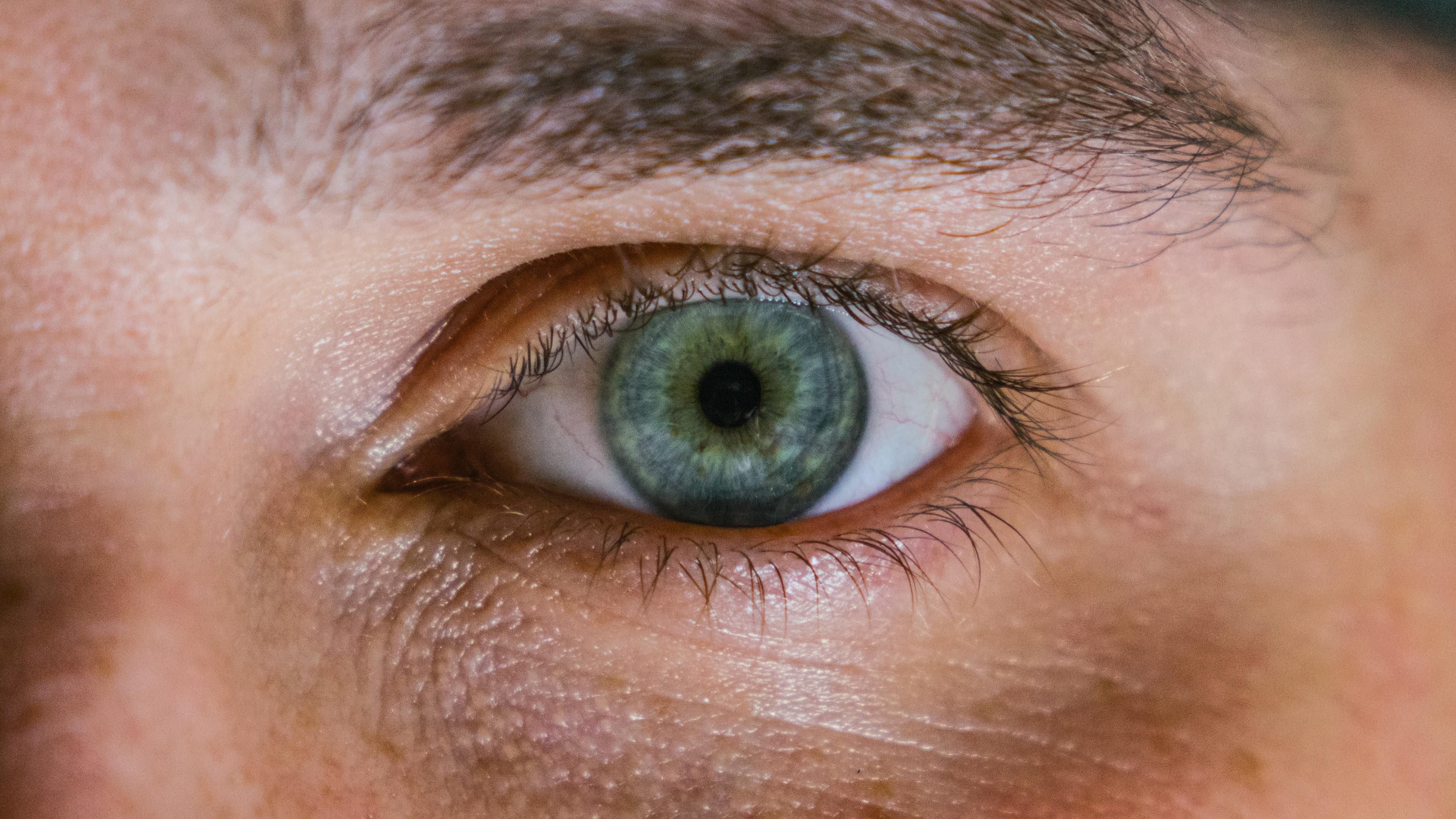 Jakie stosować zioła dla zdrowia oczu? Zioła na dobry wzrok. Zioła na schorzenia oczu. Najlepsze zioła na oczy – zadbaj o wzrok naturalnie! 