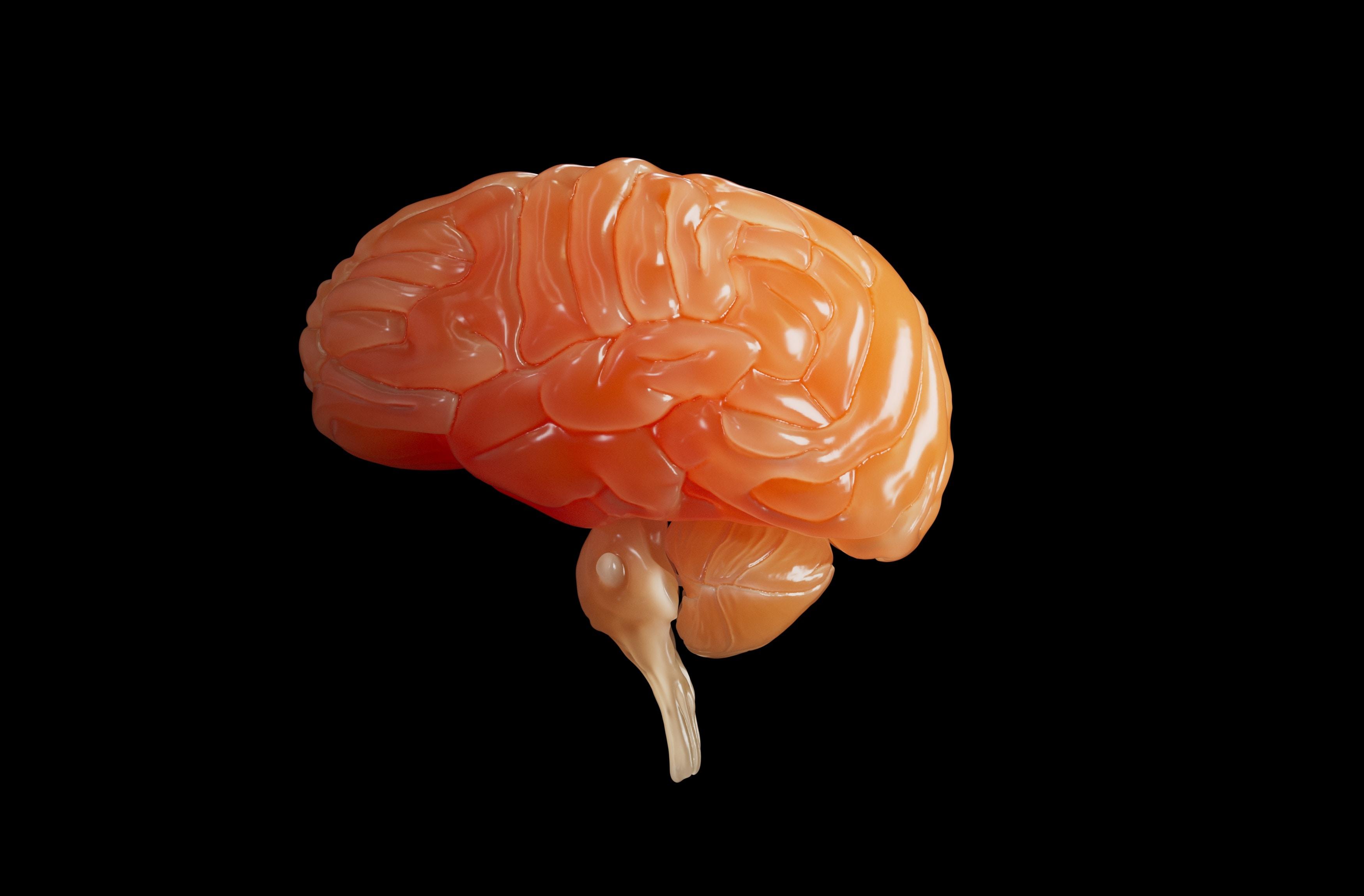 Jak naturalnie wspierać pracę mózgu? Dieta na myślenie i dobrą pamięć: co jeść, by poprawić pracę mózgu. Jak Poprawić Koncentrację i Pamięć: Polepszyć Pracę Mózgu i Zmniejszyć Hormony Stresu dla Poprawy Koncentracji i Pamięci 