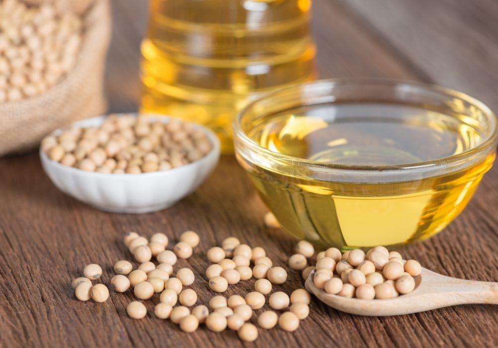 Plant-Based Protein: Exploring the Benefits of Soybeans
