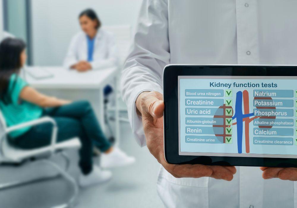 Kidney Function Tests: A Comprehensive Examination