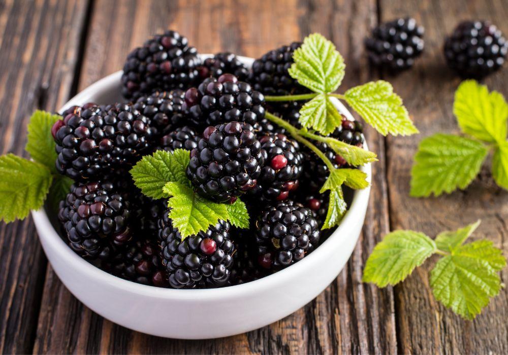 Blackberries: The Dark and Delicious Superfruit. Health Benefits of Blackberries