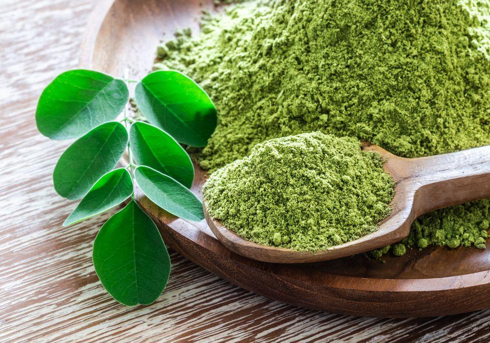 Moringa Oleifera: Der Wunderbaum der Gesundheit und seine vielseitigen Anwendungen