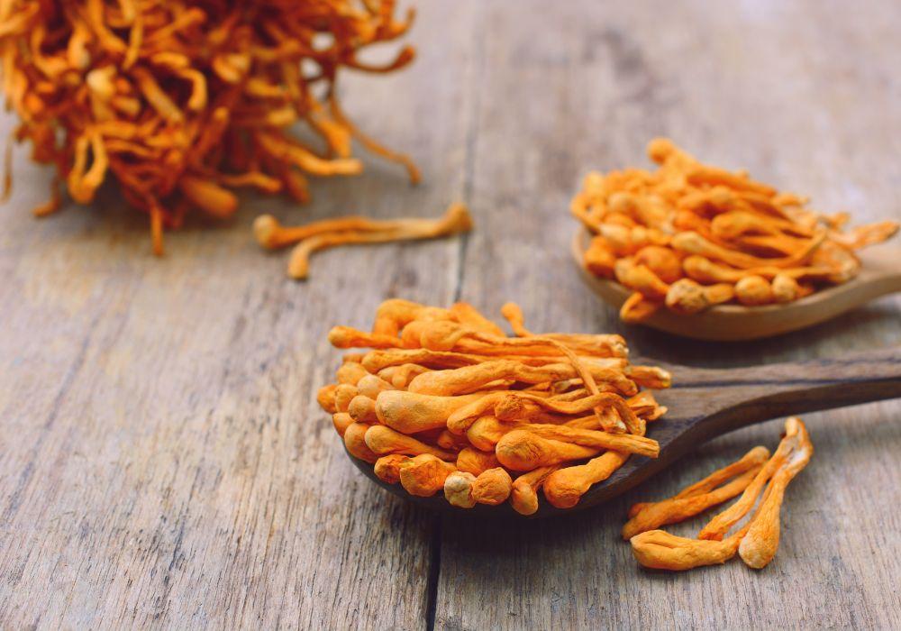 Cordyceps Unveiled: Nature's Powerhouse Mushroom. Benefits of Cordyceps Mushroom Powder