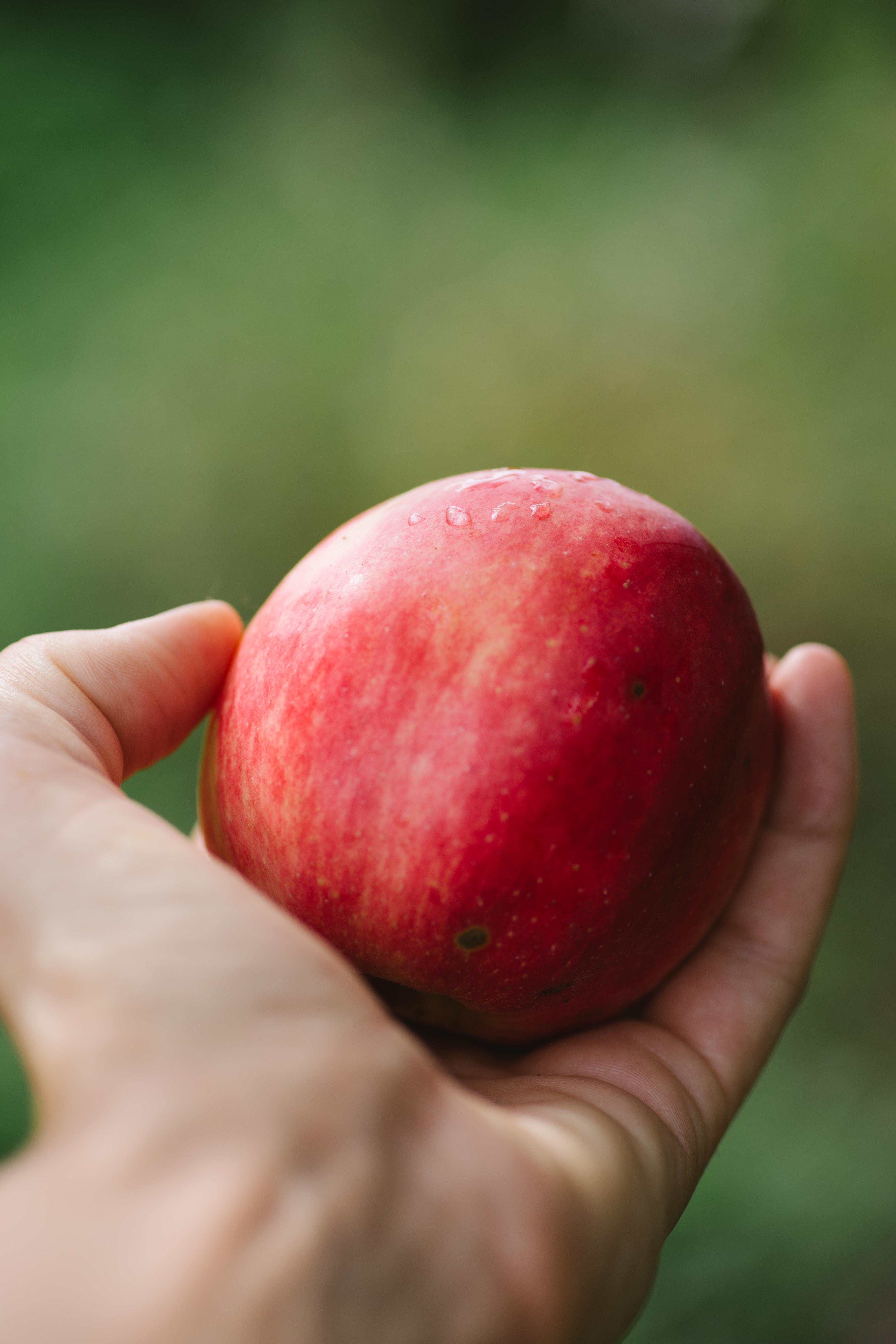 Jak pić ocet jabłkowy? Spożywanie octu jabłkowego dla zdrowia. Ocet jabłkowy – właściwości