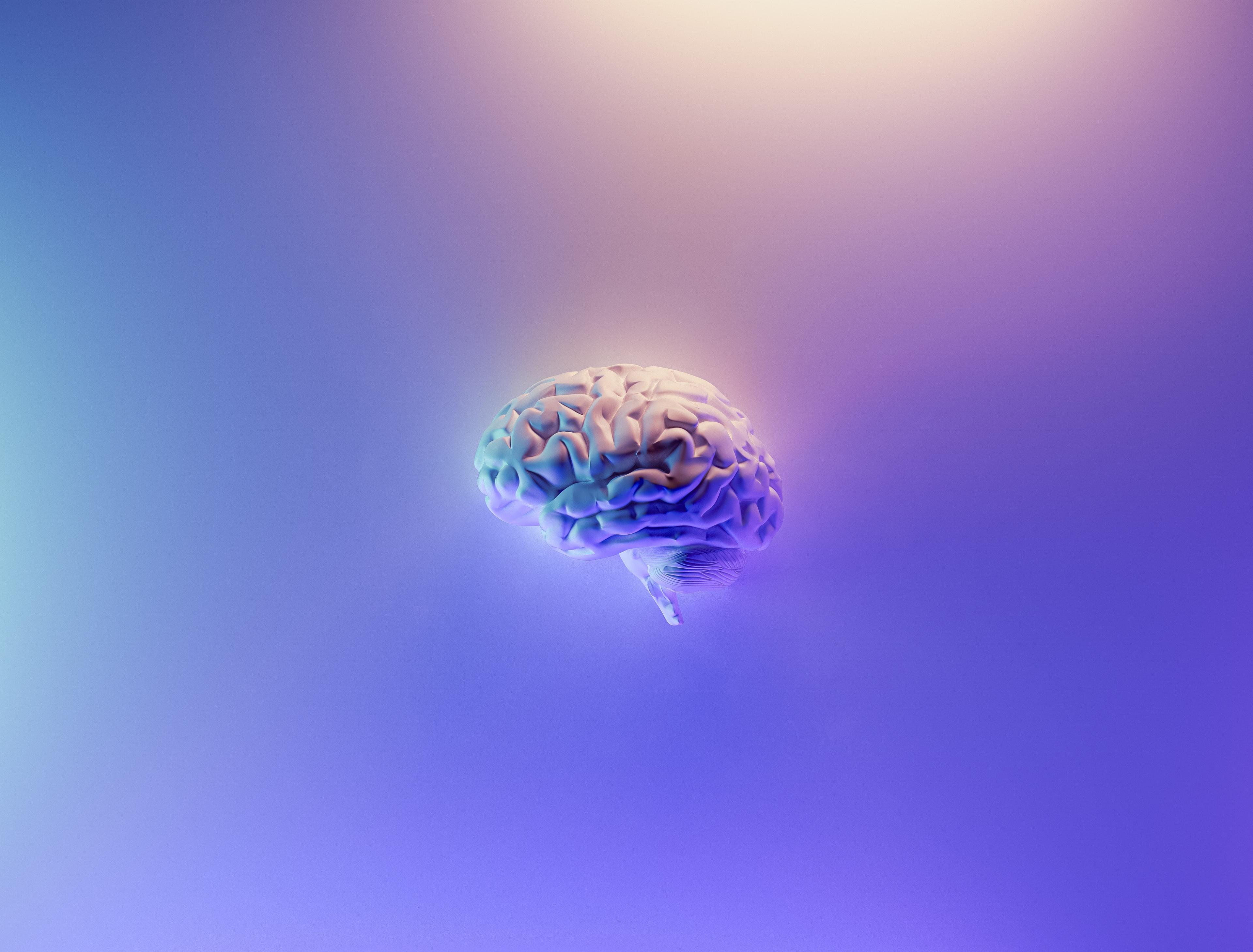 Jak naturalnie wspierać pracę mózgu? Jak podkręcić umysł, by skutecznie poprawić pamięć, koncentrację i kreatywność? Suplementy diety wspierające pracę mózgu