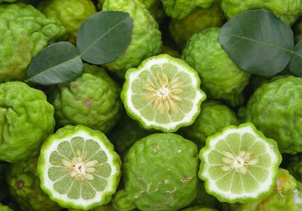 Bergamot: The Aromatic Citrus and Its Multifaceted Uses