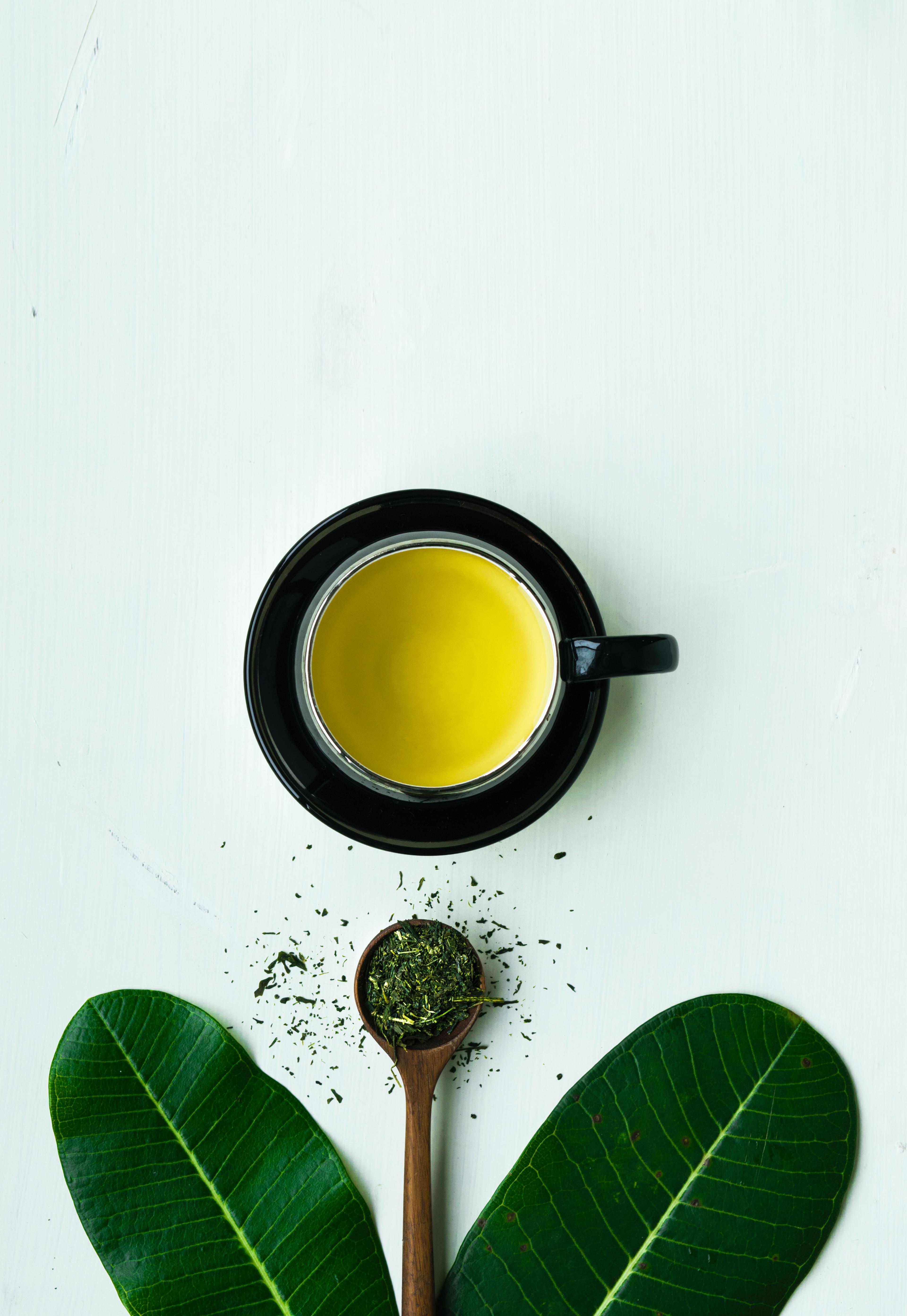 Green Tea: Nature's Elixir for Health and Vitality. What is Gut Health? 